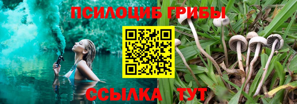 Псилоцибиновые грибы Magic Shrooms  Вход с VPN  Тихвин 
